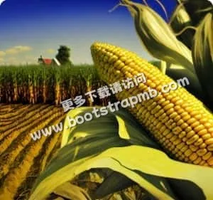 PAGCOR认证，守护你的每一分投入 - 凯发网网站