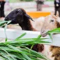 搜索 - 凯发网网站